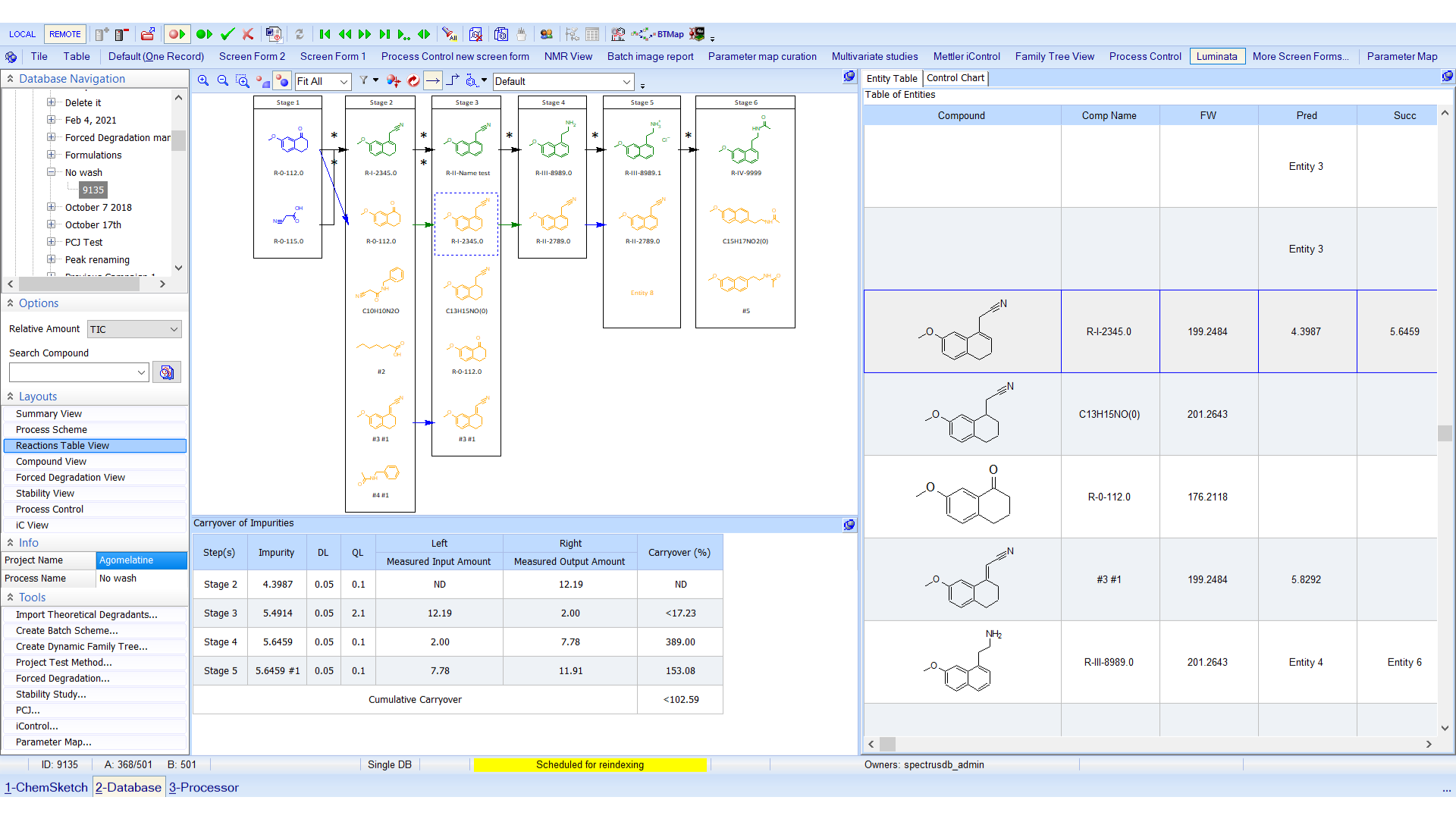 Create a comprehensive process map for your project including starting materials, intermediates, impurities, and API